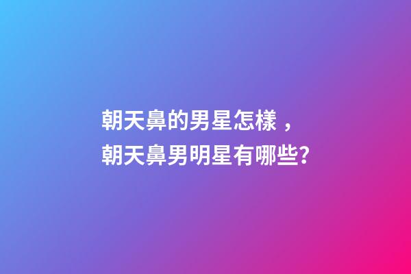 朝天鼻的男星怎樣，朝天鼻男明星有哪些？